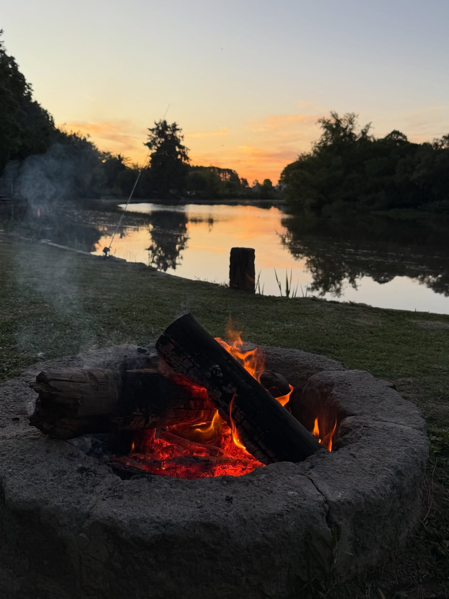 Fogonero al atardecer