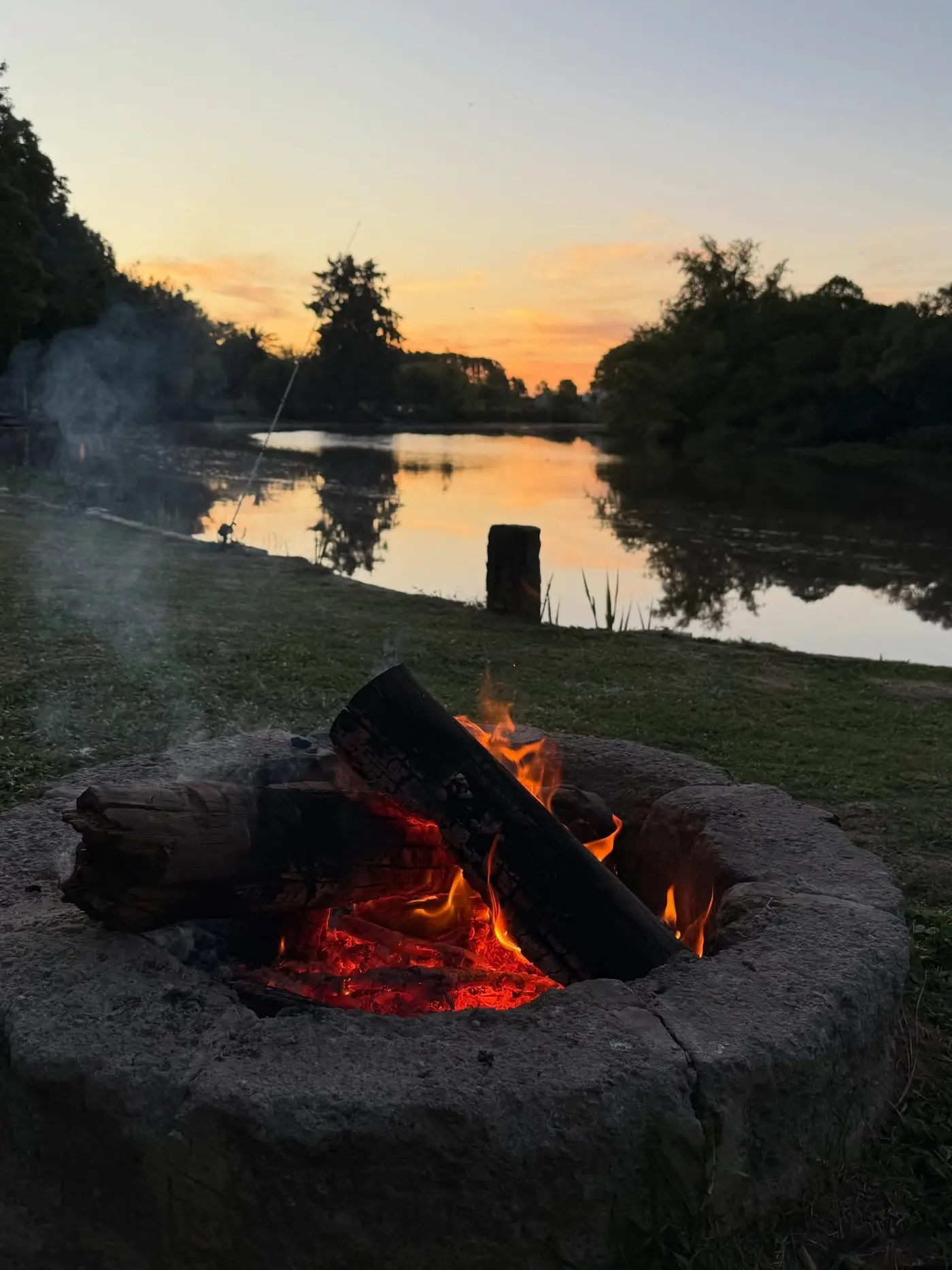 Fogonero al atardecer