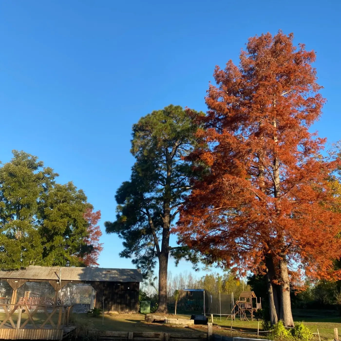 Otoño en Costa Calma